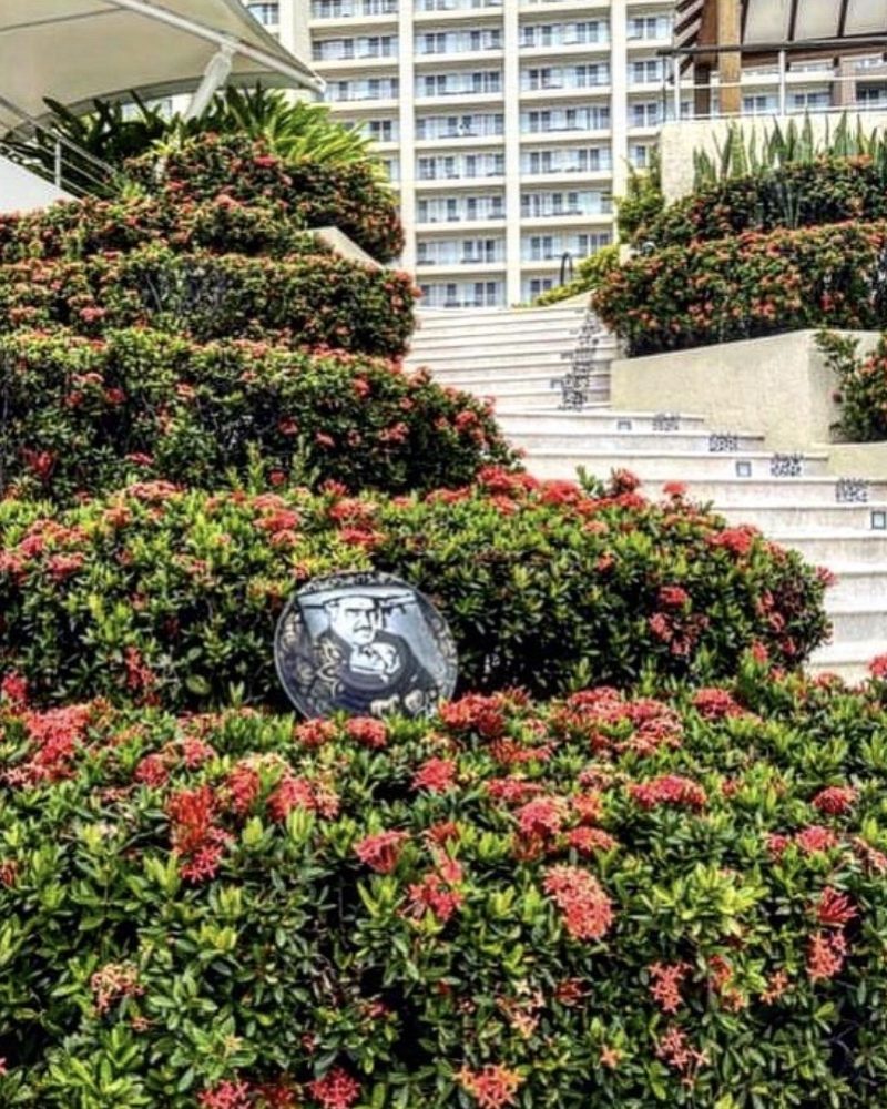 A GEM Movement record piece tucked into a flowering hedge below a hotel in Mexico